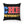 Charger l&#39;image dans la galerie, CHH UNIVERSITY Pillow (color logo, black)
